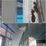 20억이나 들였는데… 구례실내수영장 개보수 부실 공사 의혹