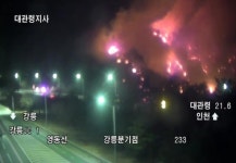삼척 이어 강릉에서도 산불… 강풍 타고 확산