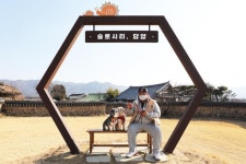 댕댕이와 돌담길 걸을까, 메타세쿼이아길 달릴까 [박준규의 기차여행, 버스여행]