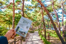 [이런 여행] 설렁설렁 구름전망대, 솔숲 거닐며 역사 탐방
