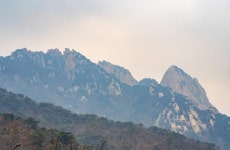 [이런 여행] 설렁설렁 구름전망대, 솔숲 거닐며 역사 탐방