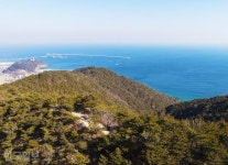 바다 보러 산에 간다… 동해와 나란히 호젓한 산행 [자박자박 소읍탐방]
