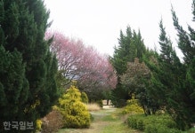 [이런 여행] 대숲·고택·정원… 구례 ‘인생사진’ 명소는 여기