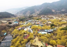 꽃몸살 구례... 섬진강 거슬러 산사로 오르는 봄 [자박자박 소읍탐방]