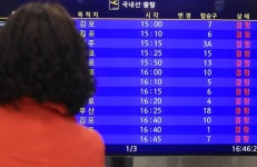지붕 날아가고 가로수 뽑히고…제주·전남해안 태풍급 강풍