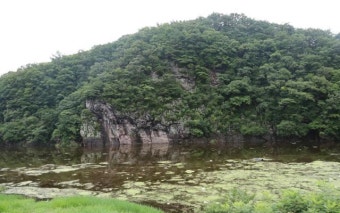 '상습 침수' 반구대암각화…