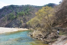 '앞섬·뒷섬' 산속 섬마을... 물돌이 강변 따라 봄소풍 가는 길 [자박자박 소읍탐방]