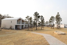 산불 피해 위로하는 바다와 계곡… 동해를 가야 할 이유 [박준규의 기차여행, 버스여행]