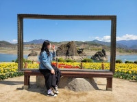 찍으면 작품··· 도담삼봉 대형 액자틀 포토존 인기