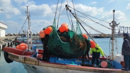 제주에 젊은 어부 육성한다