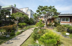 대덕구 하늘강 ·서구 소나무풍경...대전시, 1 ·2호 민간정원 선정