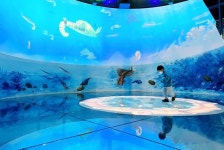 [이런 여행] 지질·해양·우주… 가정의 달에 딱, 관광지 옆 과학관