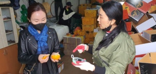 제주도 영농조합법인 ‘물이좋아 산이좋아 농장’