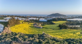 제주도 영농조합법인 ‘물이좋아 산이좋아 농장’