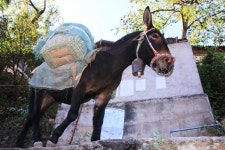 천혜의 요새 풍경도 예술... 금사강 협곡 아슬아슬 명품 마을 [최종명의 차이나는 발품기행]