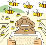 달달한 꿀향이 솔솔… 경북 양봉농가, 3년 만에 꿀풍년