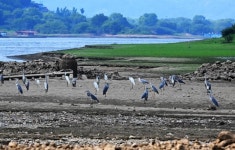 [왕태석의 빛으로 쓴 편지] 예당저수지에 찾아온 반가운 비구름