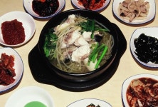 죽음과도 맞바꿀 복어 맛…먹을 수 있는 복어는 21가지