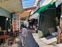 전국 마지막 대구 칠성개시장 폐쇄하라...홍준표 개인의 자유