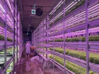 ①가구 쇼핑몰 ②지하철 역사 ③강남 사옥 옥상...개성있는 도시농장들 늘고 있다