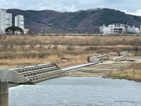 존치냐 해체냐 세종시의 결론은... 세종보 살려 금강의 핫 플레이스로