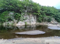 쪽빛 바다, 붉은 꽃잎... 울진 산불 까만 상처 보듬다 [자박자박 소읍탐방]