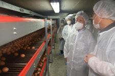 사람 손 안 닿고 양계장서 진열대까지...신선도 100점 계란에 도전한다