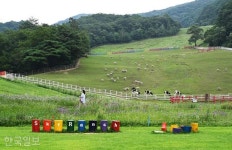 숲길 지나 초원길… 1000m 고원에서 가을 미리 맛보기 [자박자박 소읍탐방]