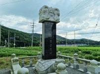 모양은 쭈글쭈글해도 맛은 일품 당진 먹여 살린 꽈리고추