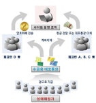 대구경북 최대 성매매 알선 사이트 ○○의 밤, 14억 자금세탁 조직 검거