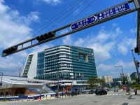 세종이 미래 수도로 간다 [기고]