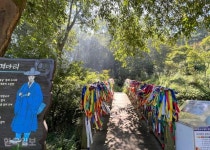 일죽IC 옆에 이런 곳이... 성곽길 아래 노란 가을 손짓 [자박자박 소읍탐방]