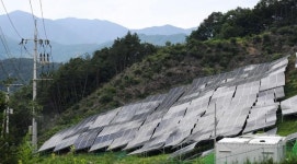 5.6조원 태양광 대출, 금감원 전수조사 나선다