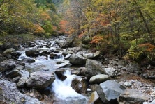 반갑다! 7년 만에 열린 흘림골... 아랫마을 미천골도 울긋불긋 [자박자박 소읍탐방]