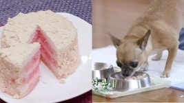 꽃중년 김승수 25년 연기 인생 바꾼 건 강아지 공장 출신 노견 [인터뷰]