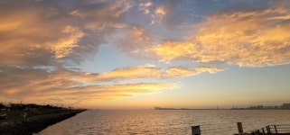 오이도 패총에 가득한 5,000년 전 고대인의 낭만 [배기동의 고고학 기행]