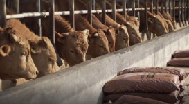 문경약돌한우축제, 공연 없이 열린다