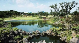 겨울에도 양탄자 페어웨이... 특급 호텔까지 갖춘 제주 테디밸리 골프앤리조트