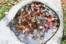 문화재가 눈에 차랴~ 경내는 온통 총천연색 전시장 [자박자박 소읍탐방]