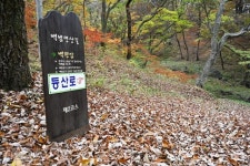 문화재가 눈에 차랴~ 경내는 온통 총천연색 전시장 [자박자박 소읍탐방]