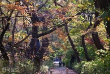 문화재가 눈에 차랴~ 경내는 온통 총천연색 전시장 [자박자박 소읍탐방]