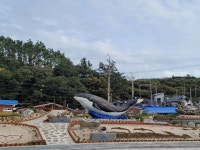 1년에 110일 육지와 단절 흑산도… 공항 건설로 재도약 노린다