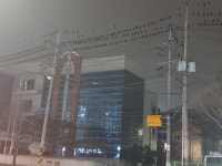 불청객 떼까마귀 4000마리 출몰… 수원시, 배설물 테러 골머리