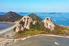 군산 앞바다 63개 섬 거느린 군도의 왕…젊은 어부들이 돌아온다