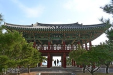 월송정 아래 숨겨진 일출 명소… 바다 보기 좋은 울진 [자박자박 소읍탐방]