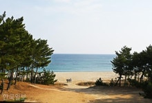 월송정 아래 숨겨진 일출 명소… 바다 보기 좋은 울진 [자박자박 소읍탐방]