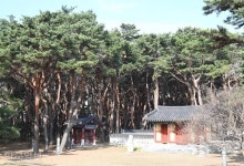 월송정 아래 숨겨진 일출 명소… 바다 보기 좋은 울진 [자박자박 소읍탐방]