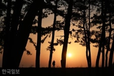 월송정 아래 숨겨진 일출 명소… 바다 보기 좋은 울진 [자박자박 소읍탐방]