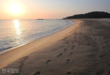 월송정 아래 숨겨진 일출 명소… 바다 보기 좋은 울진 [자박자박 소읍탐방]