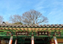 월송정 아래 숨겨진 일출 명소… 바다 보기 좋은 울진 [자박자박 소읍탐방]